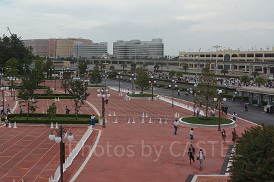 右後方の人だかりが8:00入園組