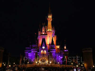 幻想的なシンデレラ城はパークのランドマーク