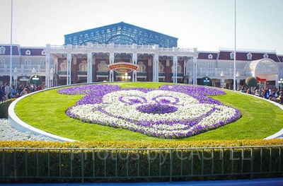 ディズニーチケットの最新情報