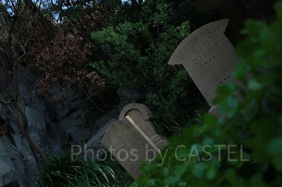 スタンバイで並ぶ場所、Qラインにはたくさんのお墓が。書いてある字をよく見ると意外な事実がわかるかも…？