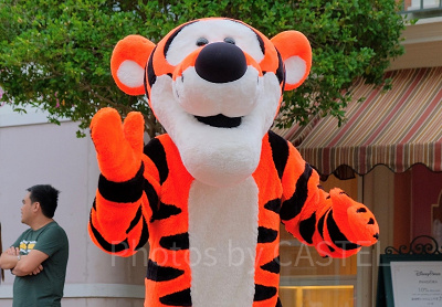 グリーティングで会えるティガー