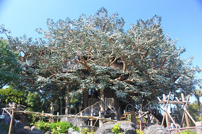 人が少ない時間帯がより一層おすすめ