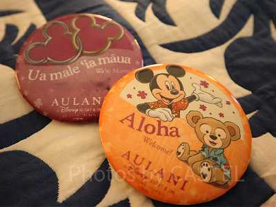 アウラニ滞在の際にもらえる缶バッチとハネムーン用の缶バッチ