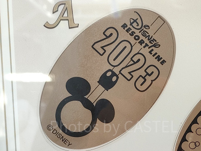 ディズニースーベニアメダル】ディズニーリゾートラインで買えるメダル