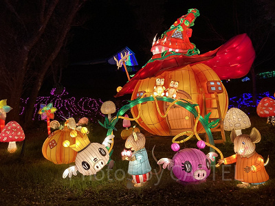 東京ドイツ村イルミネーション2021