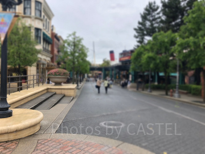 メディテレーニアンハーバーの混雑状況