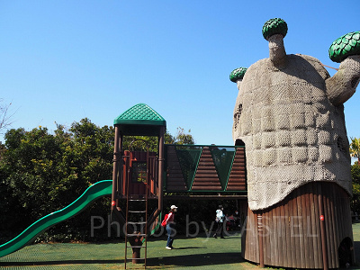 木のようなコンビネーションアスレチック