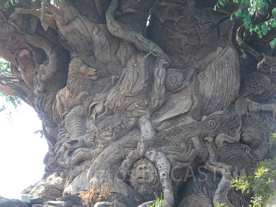 ツリー・オブ・ライフの幹