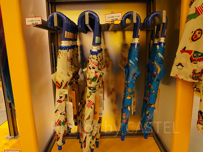 子ども用の傘（アニマル柄/ライド柄）