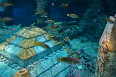 サブマリン・アドベンチャーで観察できる海底