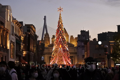 USJ／クリスマスツリー