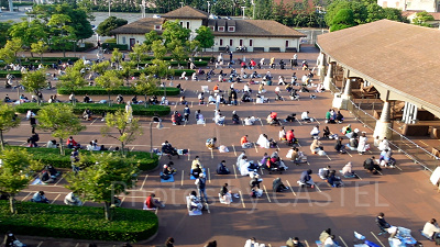 ディズニーシー開園待ちの様子（11月4日）