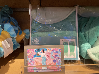 着る毛布(ディズニーシー24周年グッズ)