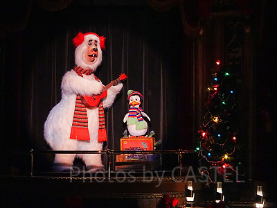 ペンギンのウェブスター