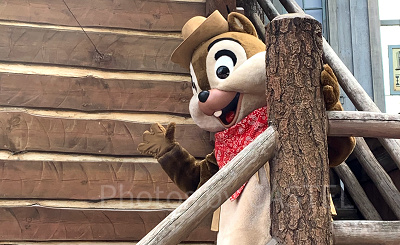 ウエスタンランドのフリーグリーティング