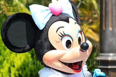 ディズニークイズ】ミニー編15問！誕生日はいつ？本名や趣味についても