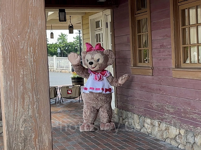 シェリーメイのコスチュームは？