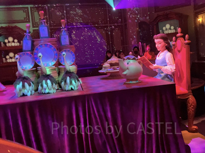 フェザーダスターの4つの名前の違いとは？