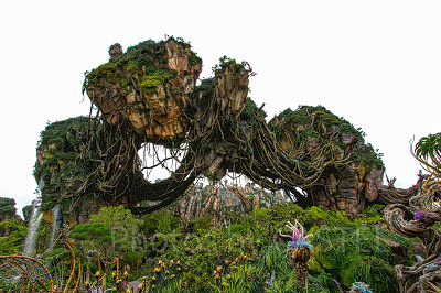 アバターエリアはどんなところ？