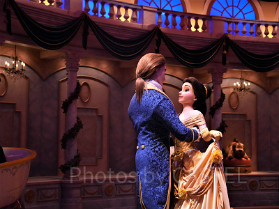 美女と野獣のアトラクションの魅力は？