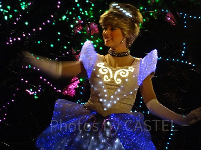 シンデレラが落とした靴は左右どちら？