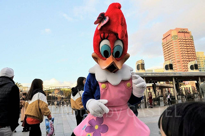 グリーティング中のウィニー・ウッドペッカー／USJ