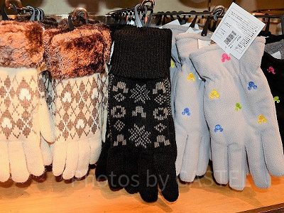 冬のディズニーは寒さ対策が大切