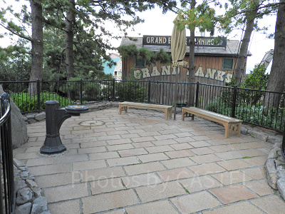 水分補給もできる