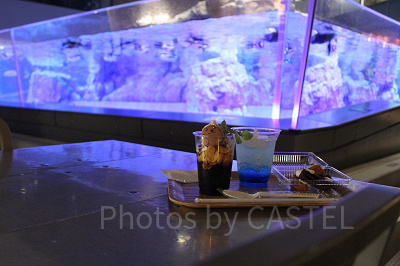 ペンギンの水槽を眺めながらスイーツやビール、軽食が楽しめます