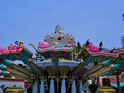 高い場所からパークを見渡せる！