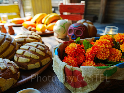ユカタン・ベース・キャンプグリルのデコレーション
