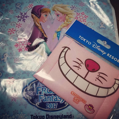 ディズニーシーのアトラクション 妊婦さんが注意すべきアトラクションは 絶叫系 揺れる系まとめ