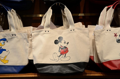 22 ディズニー冬の持ち物リスト 必需品 バッグ 服装のポイントまとめ