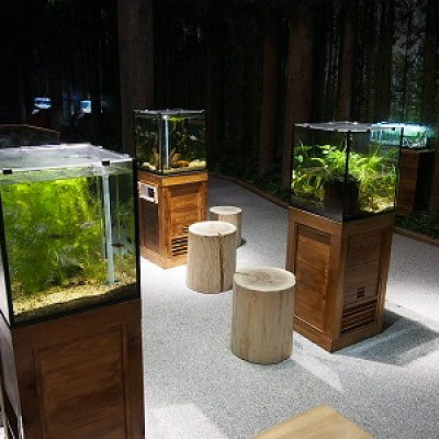 3階　水の森エリア