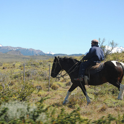 アメリカンカウボーイとは一味違うカッコよさをまとう南米カウボーイ