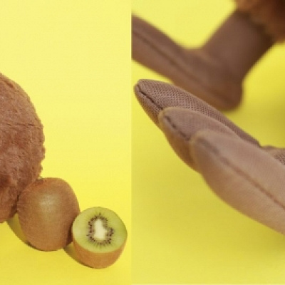 キーウィを忠実に再現したぬいぐるみ