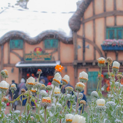 ディズニーチケットは事前購入がおすすめ