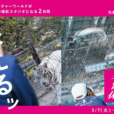 休園日のアドベンチャーワールドが撮影スタジオに！？