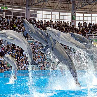 アドベンチャーワールドチケット