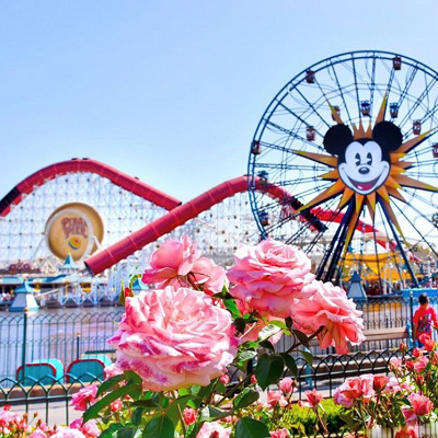 アナハイムディズニー
