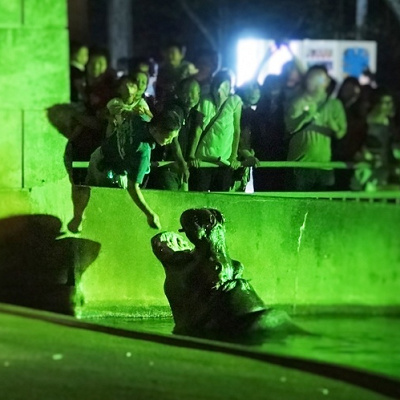 アニマルトークリレー