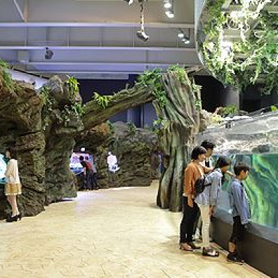 アクアジャングル