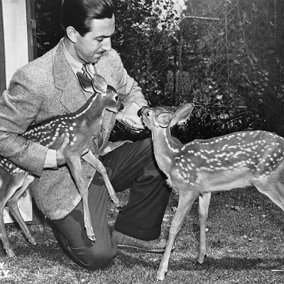 『バンビ』のトリビア