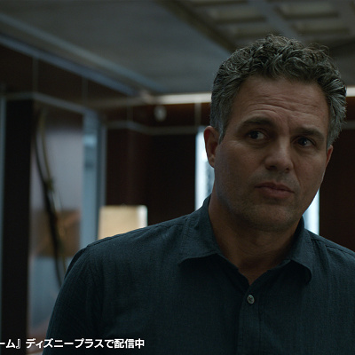 アベンジャーズ/エイジ・オブ・ウルトロン：ブルース