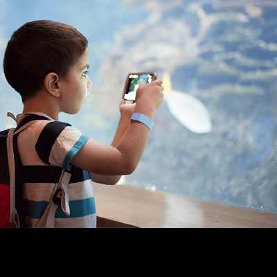 カワスイを楽しむ少年