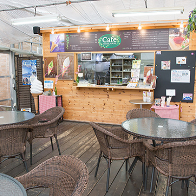 河口湖ハーブ館内の「カフェグリーンハウス」