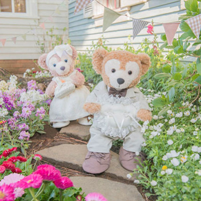 キャナリークロージング