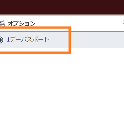 「1デーパスポート」にチェック