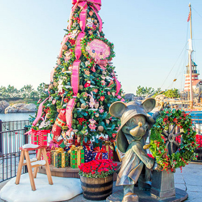 ケープコッドにあるクリスマスツリー