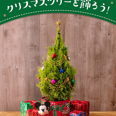 クリスマスツリー